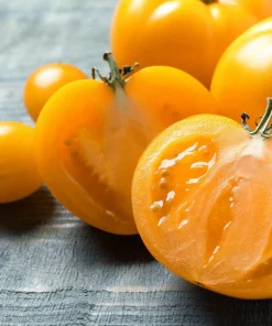 150 Golden Jubilee Tomato Seeds - Yellow Lycopersicon Lycopersicum Fruit Vegetable - Image 4