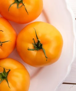 150 Golden Jubilee Tomato Seeds - Yellow Lycopersicon Lycopersicum Fruit Vegetable - Image 5