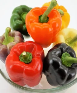 150 Rainbow Bell Pepper Seeds - Sweet, Colorful Vegetable Garden Mix - Image 10