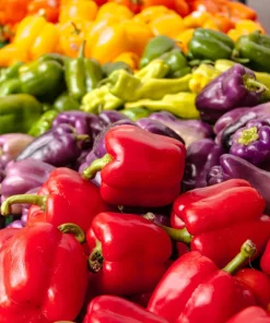 150 Rainbow Bell Pepper Seeds - Sweet, Colorful Vegetable Garden Mix - Image 3