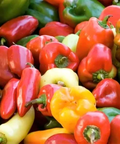 150 Rainbow Bell Pepper Seeds - Sweet, Colorful Vegetable Garden Mix - Image 5