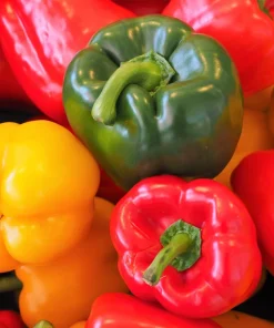 150 Rainbow Bell Pepper Seeds - Sweet, Colorful Vegetable Garden Mix - Image 6