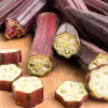 150 Red Burgundy Okra Seeds - Abelmoschus Esculentus Vegetable Seeds - Image 1