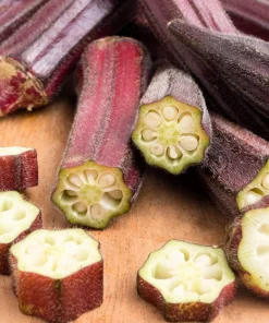 150 Red Burgundy Okra Seeds - Abelmoschus Esculentus Vegetable Seeds - Image 1