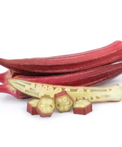 150 Red Burgundy Okra Seeds - Abelmoschus Esculentus Vegetable Seeds - Image 4