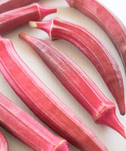 150 Red Burgundy Okra Seeds - Abelmoschus Esculentus Vegetable Seeds - Image 5
