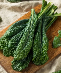 1500 Lacinato Kale Seeds – Dinosaur Tuscan Black Vegetable – Brassica Oleracea - Image 6