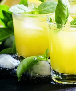 1500 Lemon Basil Seeds - Ocimum Basilicum Herb Seeds for Garden - Image 7