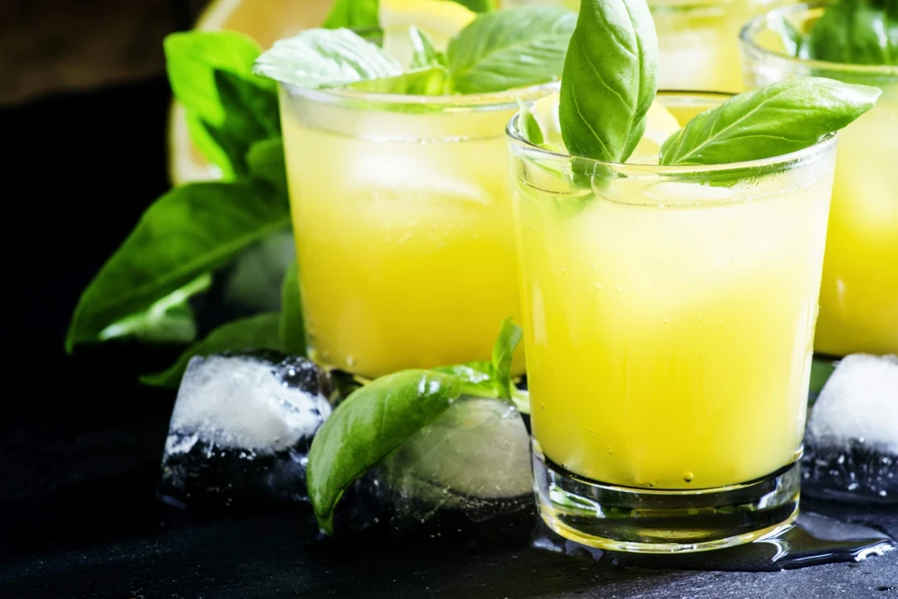 1500 Lemon Basil Seeds - Ocimum Basilicum Herb Seeds for Garden - Image 7