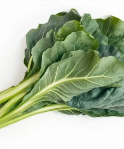 1500 Morris Heading Collard Green Vegetable Seeds - Brassica Oleracea - Image 7