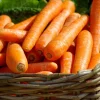 1500 Scarlet Nantes Carrot Seeds - Daucus Carota Vegetable Seeds - Image 1