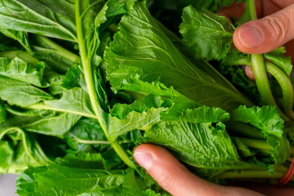 1500 Seven Top Turnip Seeds – Brassica Rapa Vegetable Seeds - Image 3