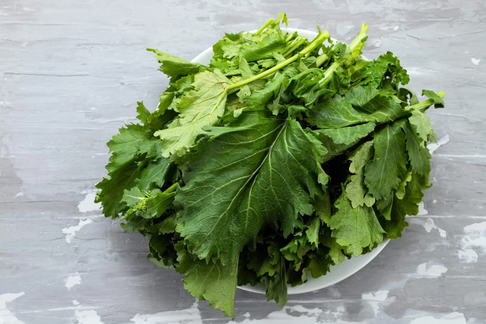 1500 Seven Top Turnip Seeds – Brassica Rapa Vegetable Seeds - Image 4