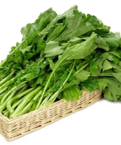 1500 Seven Top Turnip Seeds – Brassica Rapa Vegetable Seeds - Image 5