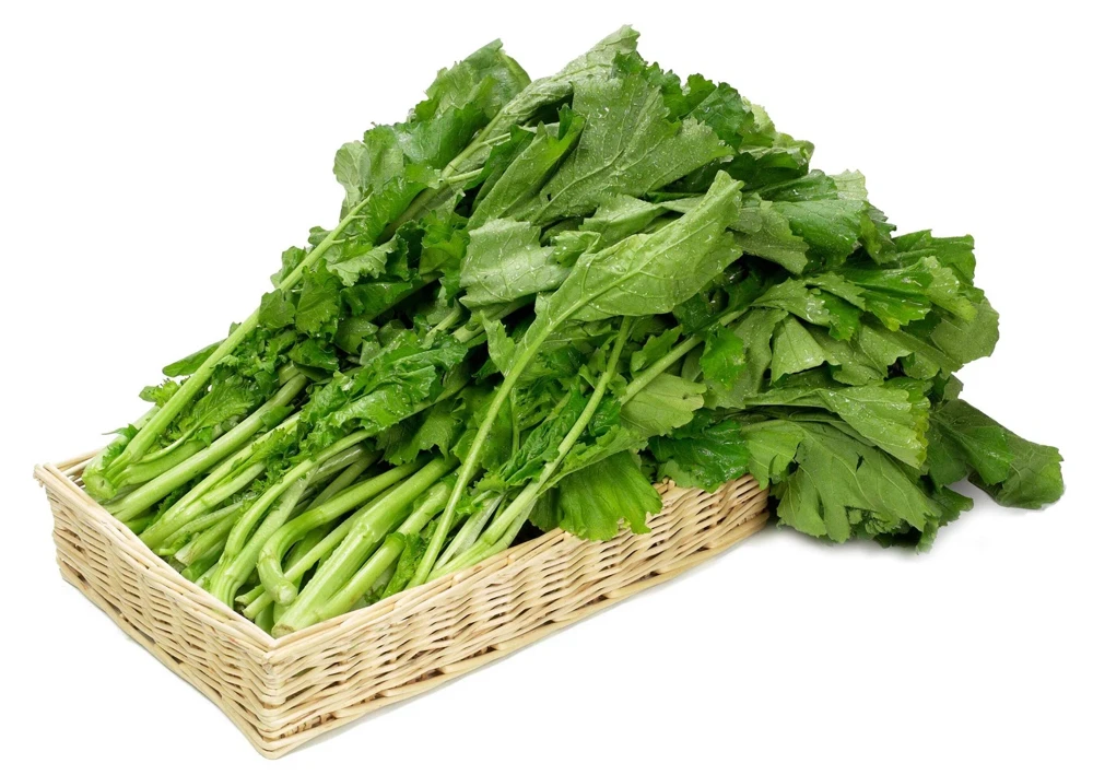 1500 Seven Top Turnip Seeds – Brassica Rapa Vegetable Seeds - Image 5