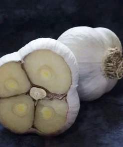 16 oz Organic Garlic Bulbs Mix – Multi-Variety Selection for Planting, Hardneck & Softneck Garlic Bulbs - Image 3