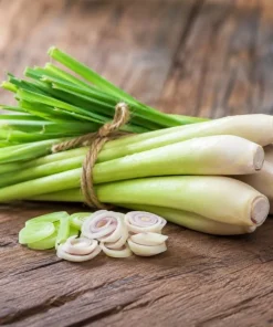 2 Lemongrass Live Plants, 4-6 Inch Tall, Fragrant Herb for Containers & Outdoors - Image 5