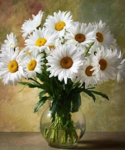 2 Shasta Daisy Live Plant – Perennial Flowering Plant – Bright White Blooms – 3