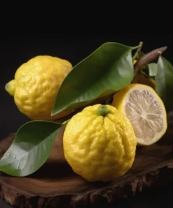 2 Yuzu Trees - 2-5