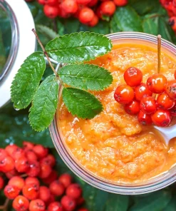 20 European Mountain Ash Seeds - Sorbus Aucuparia Tree Seeds, Zone 3-9 - Image 3