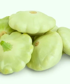 20 Green Tint Bush Scallop Squash Patty Pan Vegetable Seeds - Image 3
