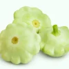20 Green Tint Bush Scallop Squash Patty Pan Vegetable Seeds - Image 1