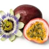 20 Purple Passion Fruit Seeds - Passiflora Edulis Vine for Edible Flowers - Image 1