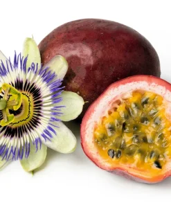 20 Purple Passion Fruit Seeds - Passiflora Edulis Vine for Edible Flowers - Image 1