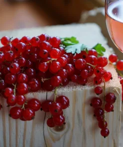 20 Red Wax Currant Seeds - Edible Fruit Berries, Pink Flowers, Shrub - Image 4