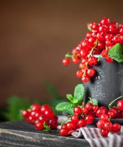 20 Red Wax Currant Seeds - Edible Fruit Berries, Pink Flowers, Shrub - Image 6