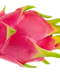 20 White Dragon Fruit (Pitaya) Hylocereus Undatus Cactus Seeds - Image 6
