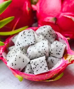 20 White Dragon Fruit (Pitaya) Hylocereus Undatus Cactus Seeds - Image 9