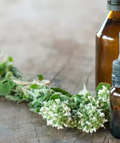 200 Lemon Catnip Seeds - Nepeta Cataria Citriodora Herb Flower Seeds - Image 11