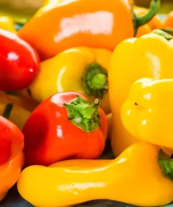 200 Santa Fe Grande Pepper Seeds - Guero Chili Hot Capsicum Annuum - Image 2