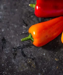 200 Santa Fe Grande Pepper Seeds - Guero Chili Hot Capsicum Annuum - Image 3