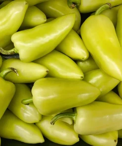 200 Santa Fe Grande Pepper Seeds - Guero Chili Hot Capsicum Annuum - Image 5