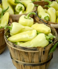 200 Santa Fe Grande Pepper Seeds - Guero Chili Hot Capsicum Annuum - Image 6