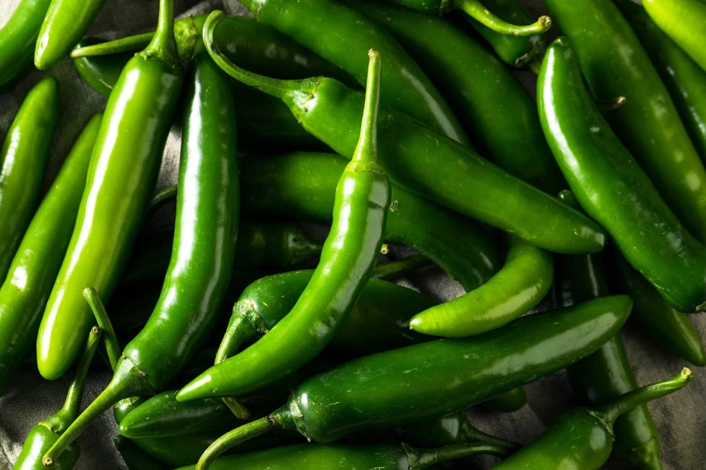200 Serrano Tampiqueno Pepper Seeds - Mexican Chile Vegetable Seeds - Image 4
