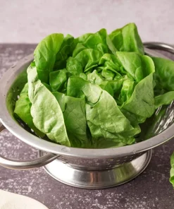2000 Bibb Lettuce Seeds - Butterhead Vegetable Seeds for Home Gardens - Image 7