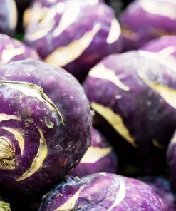2000 Purple Vienna Kohlrabi Vegetable Seeds - Brassica Oleracea - Image 10