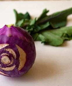 2000 Purple Vienna Kohlrabi Vegetable Seeds - Brassica Oleracea - Image 11