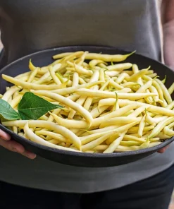 25 Goldrush Green Bean Seeds - Bright Yellow Wax Bean Phaseolus Vulgaris - Image 3