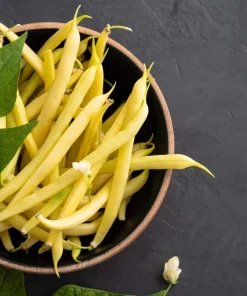 25 Goldrush Green Bean Seeds - Bright Yellow Wax Bean Phaseolus Vulgaris - Image 4