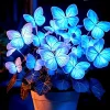 25+ Heirloom Blue Butterfly Coleus Seeds - Rare Ornamental Foliage Plant - Image 1