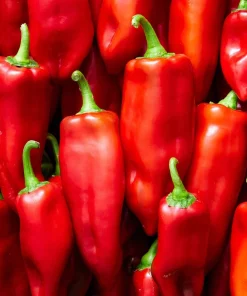 25 Jimmy Nardello Pepper Seeds - Sweet Red Italian Frying Pepper - Image 8