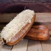 25 Luffa Sponge Gourd Seeds - Loofah Cylindrica Vine Seeds - Image 1