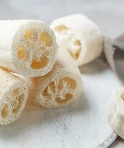 25 Luffa Sponge Gourd Seeds - Loofah Cylindrica Vine Seeds - Image 6