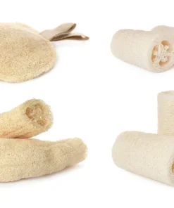 25 Luffa Sponge Gourd Seeds - Loofah Cylindrica Vine Seeds - Image 7
