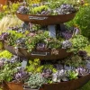 25+ Mixed Cactus & Succulent Seeds for Indoor & Outdoor Gardens - Image 1