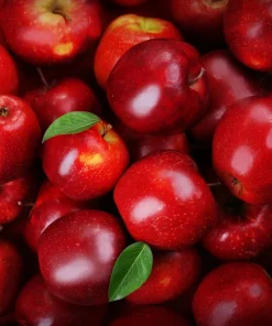 25 Paradise Apple Red Delicious Fruit Tree Seeds - Malus Pumila - Image 8